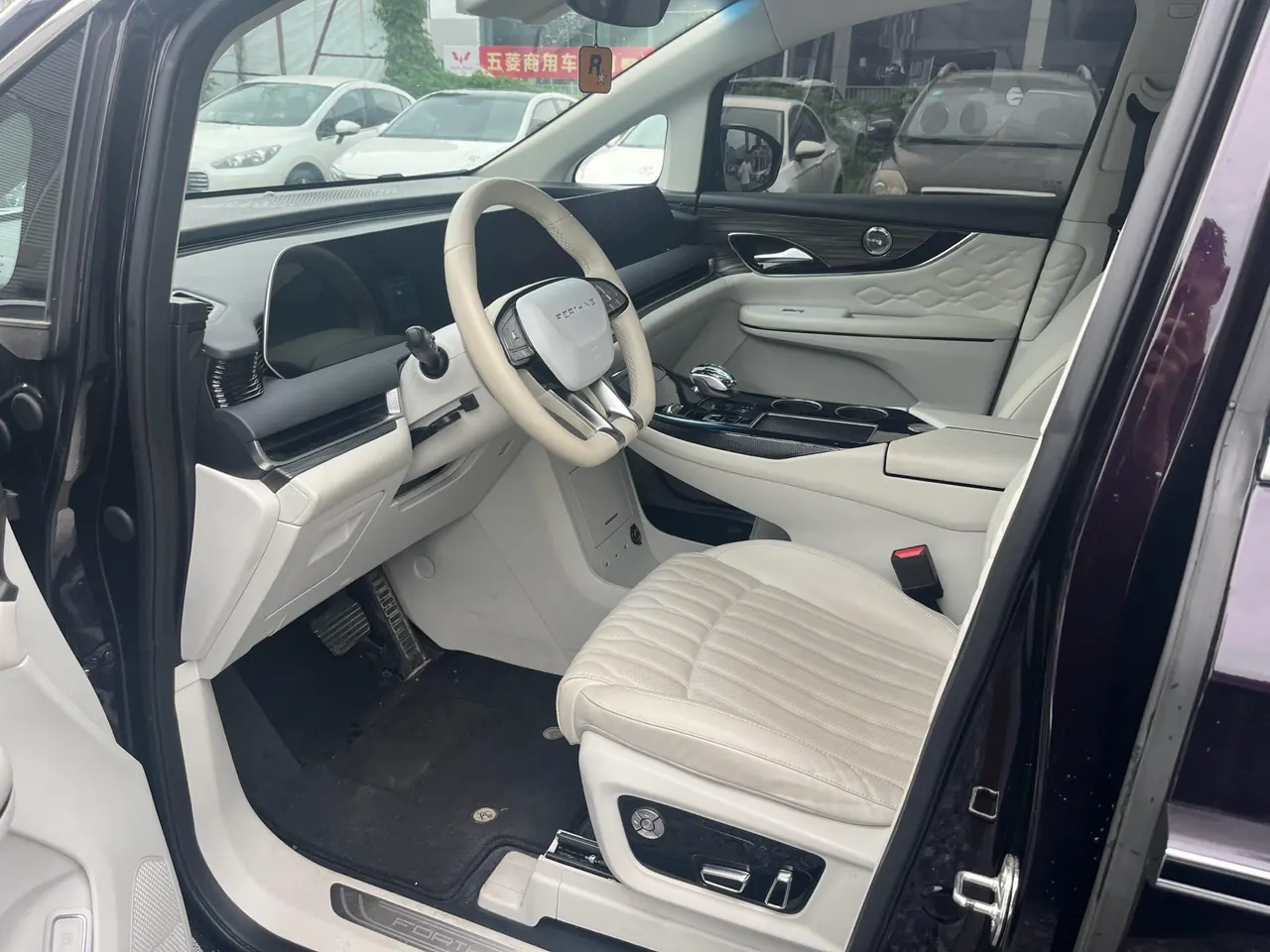 Fashion 2024 Xinghai V9 1.5TD 200km Qingyun Ladder Series Honorable Automatic Gear 5