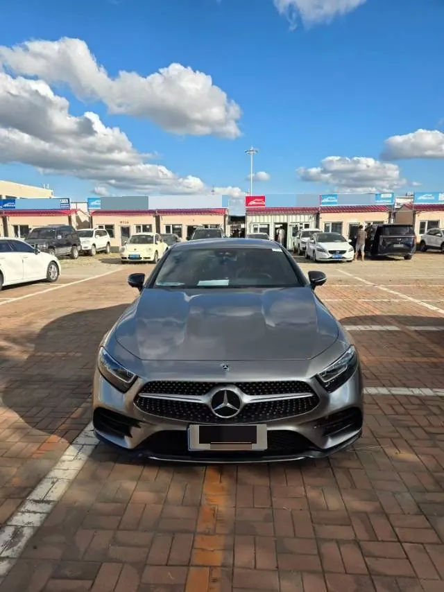 Mercedes Benz CLS (Imported) 2021 CLS 300 2.0T Luxury Automatic Gear 2