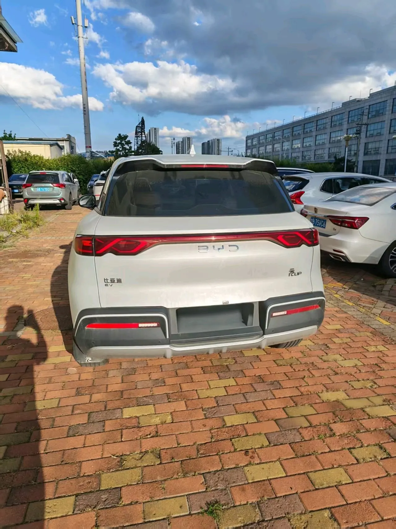 BYD 2024 Yuan UP 401KM Vital Edition Automatic Gear 6