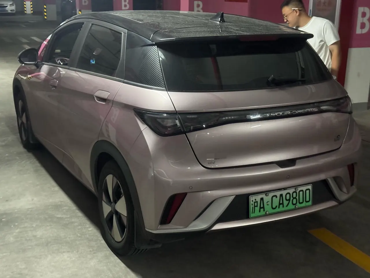BYD 2023 Dolphin 420km Fashion Edition Automatic 4