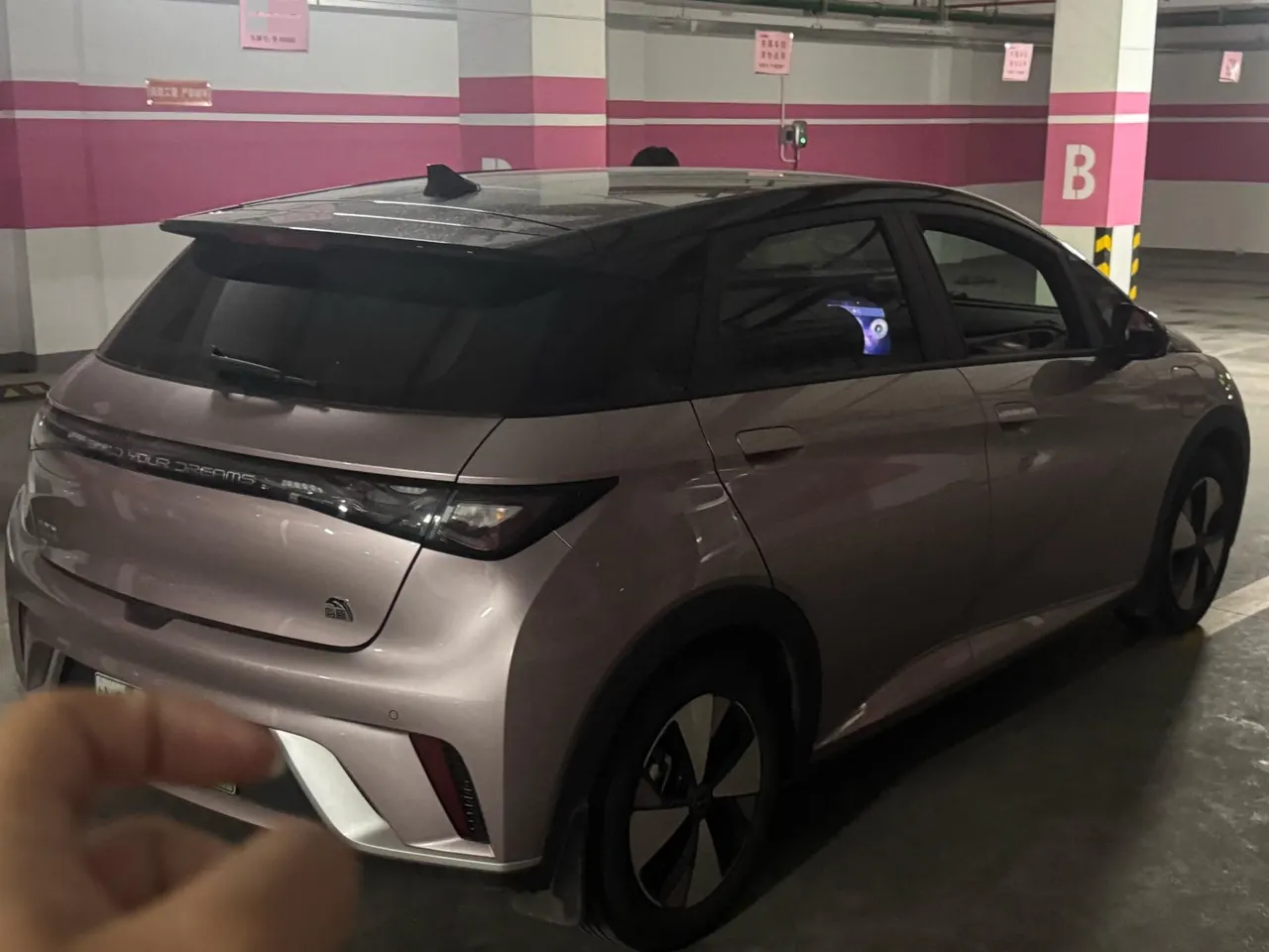 BYD 2023 Dolphin 420km Fashion Edition Automatic 5