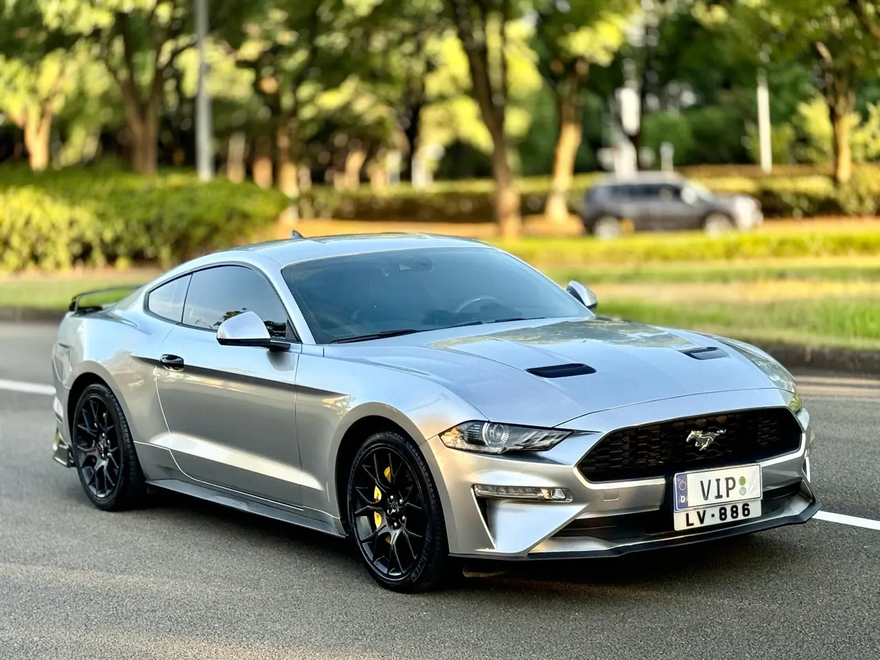 Ford Yema (Imported) 2021 Yema 2.3T EcoBoost Automatic 3
