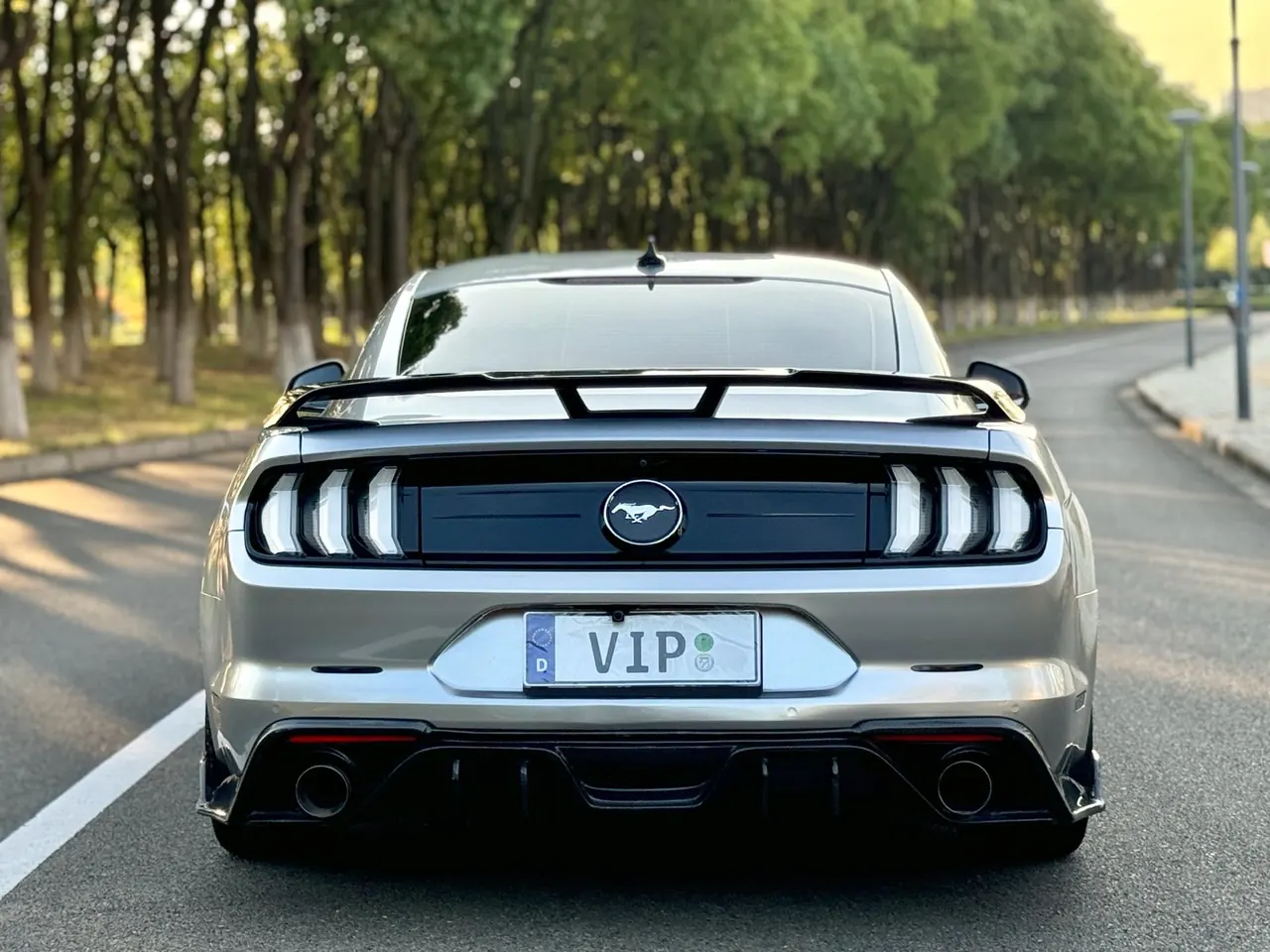 Ford Yema (Imported) 2021 Yema 2.3T EcoBoost Automatic 8