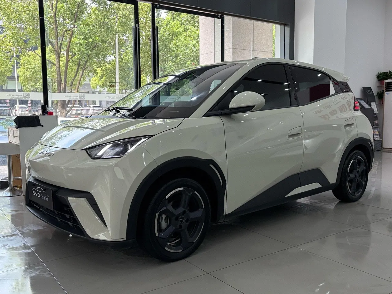 打开图片灯箱:BYD 2025 Seagull Smart Driving Edition 305km Free Edition Automatic Gear