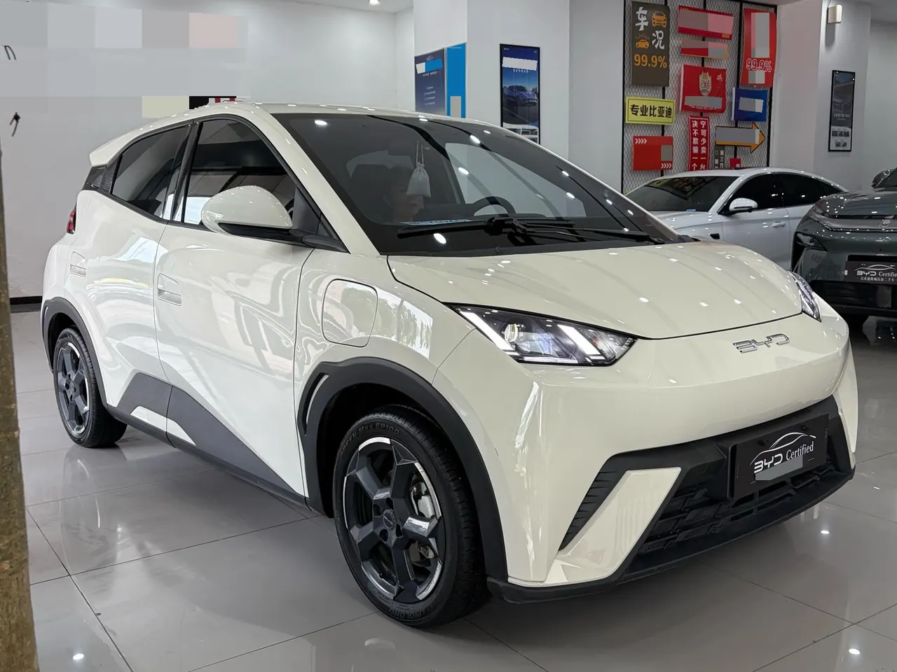 BYD 2025 Seagull Smart Driving Edition 305km Free Edition Automatic Gear 3