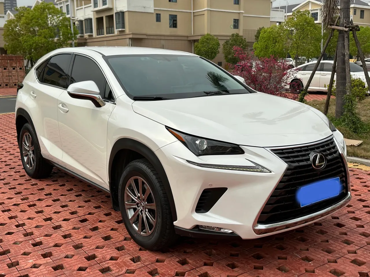 Lexus NX (Imported) 2020 NX200 2.0 Stepless Front Edition Automatic Gear 3