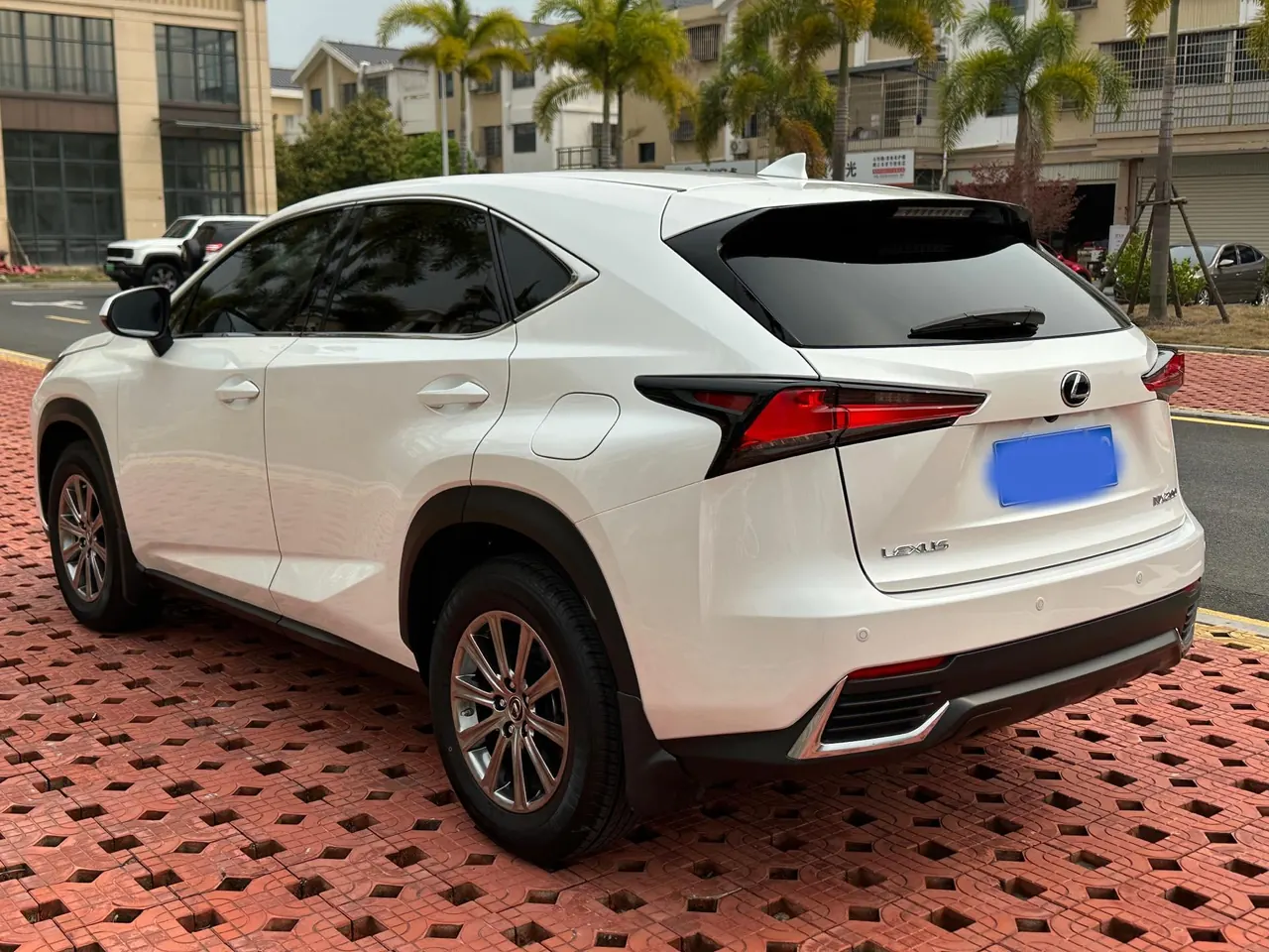Lexus NX (Imported) 2020 NX200 2.0 Stepless Front Edition Automatic Gear 5