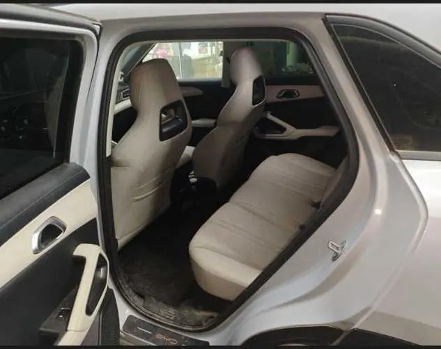 BYD 2024 Yuan UP 401KM Vital Edition Automatic Gear 5
