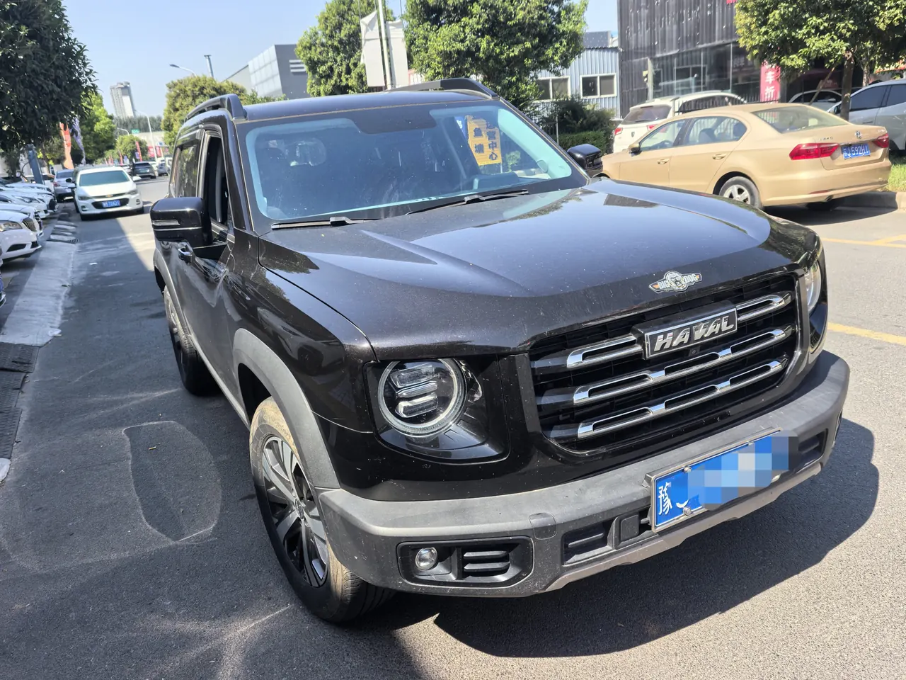 Haval 2021 Big Dogs 1.5T Border Animal Husbandry Wangcai Edition Automatic Gear 2