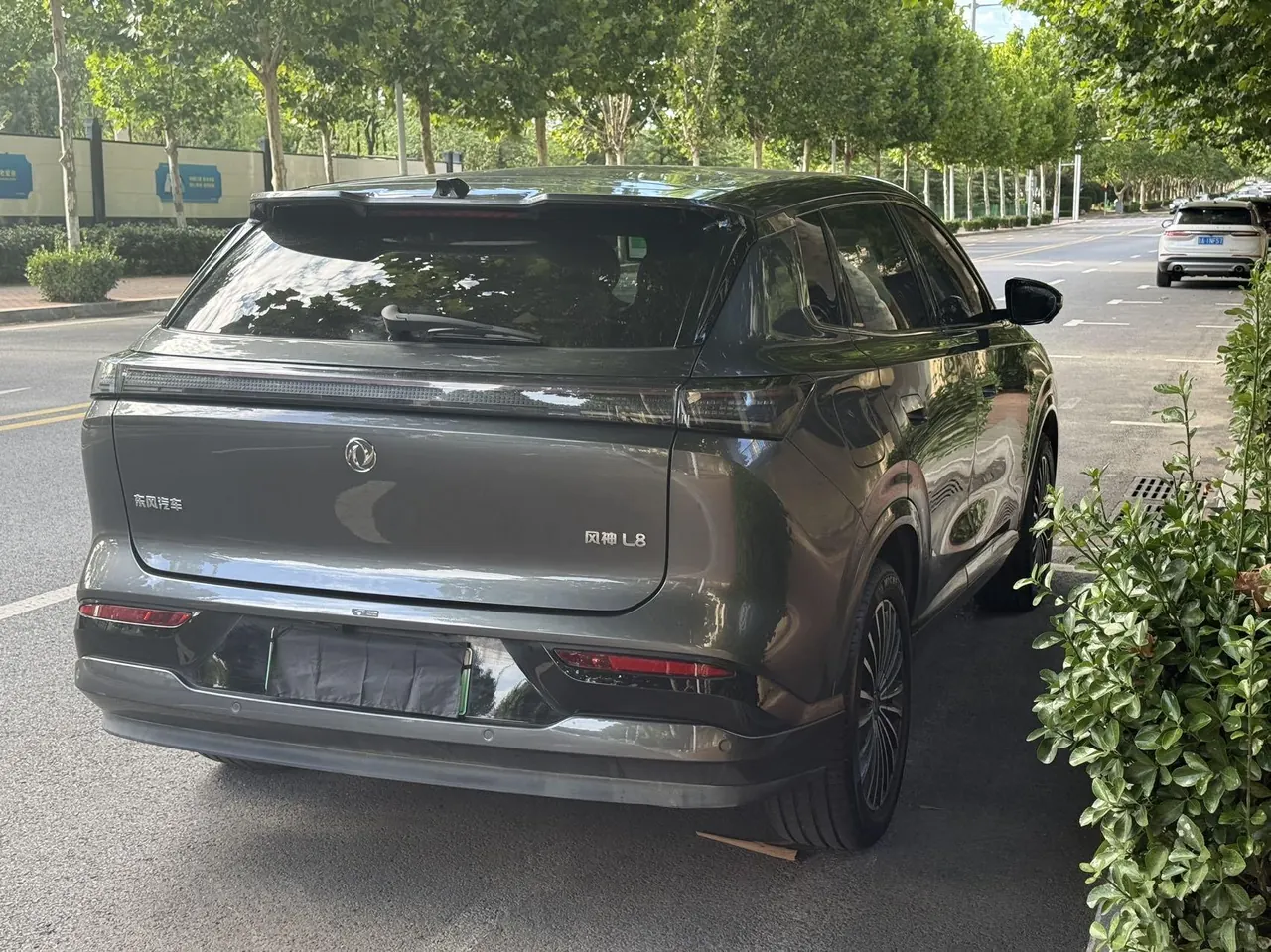 Aeolus 2025 L8 1.5T 185KM Dream Edition Automatic Gear 4