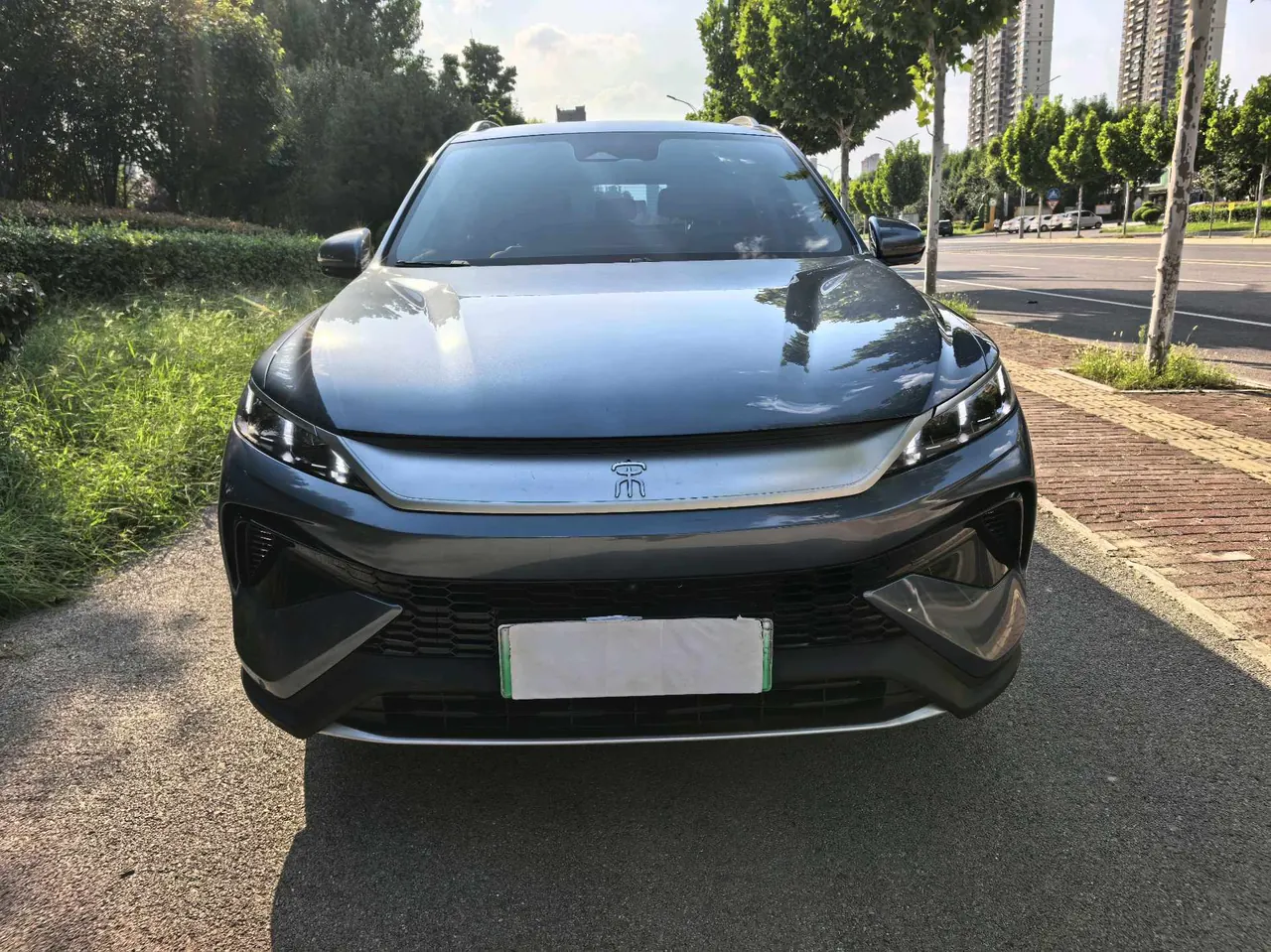 BYD Song Pro New Energy 2025 Song Pro DM-i 1.5 Stepless 115KM Exceed Automatic Gear 2