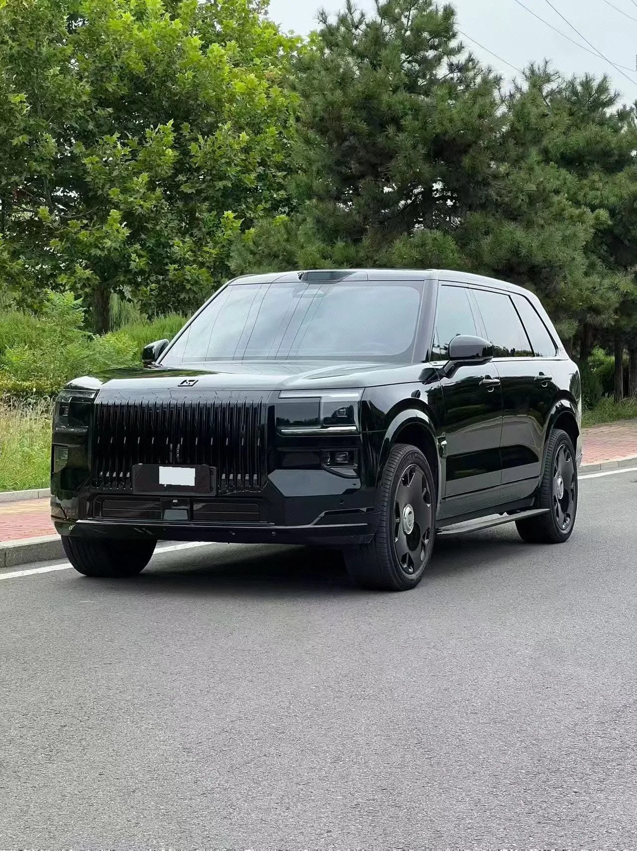 Zeekr 2025 Zeekr 9X 2.0T Hyper Edition 70kWh Automatic Gear - View 1