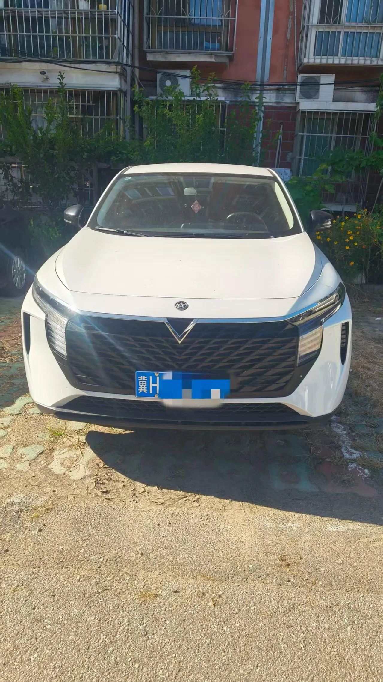 Venucia 2024 big V 1.5T 260T nova Pro automatic gear 2