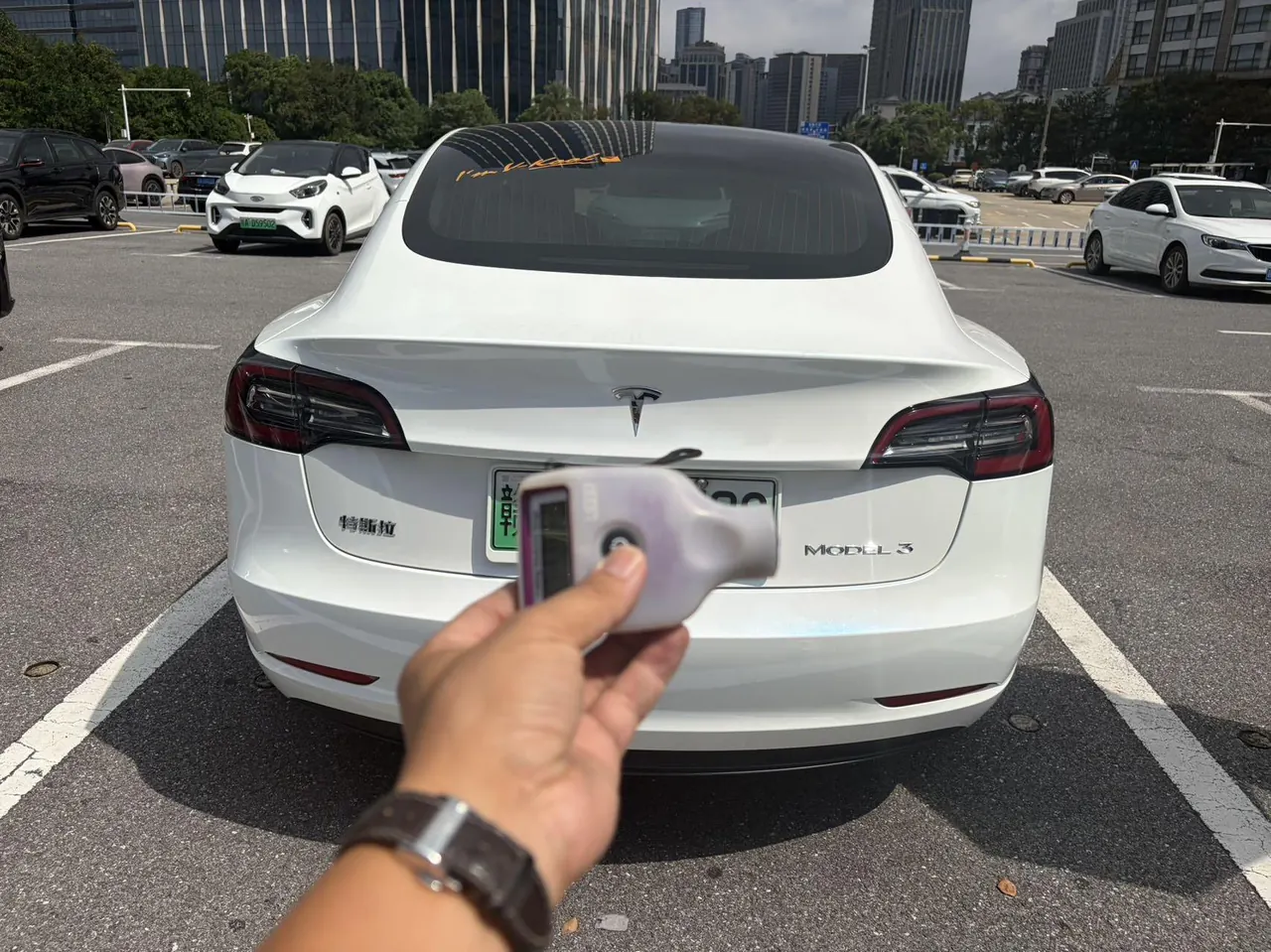 Tesla 2020 Model 3 Standard Endurance Rear Drive Upgraded Automatic Gear 3