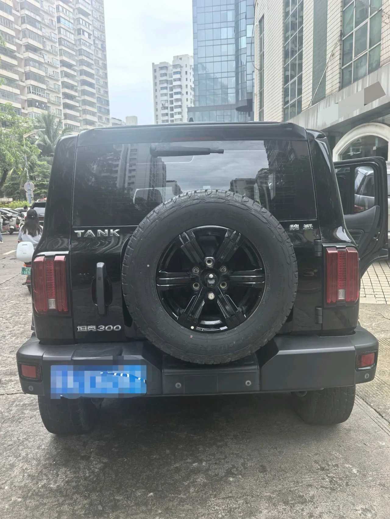 Tank 2021 Tank 300 2.0T Off-road Conqueror Automatic 5