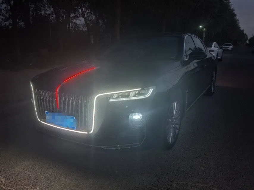 HongQi 2020 H9 2.0T Zhilian Flag Edition Automatic Gear - View 1