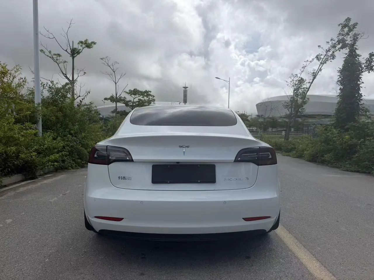 Tesla 2020 Model 3 Standard Endurance Rear Drive Upgrade (Modified) Automatic Gear 4