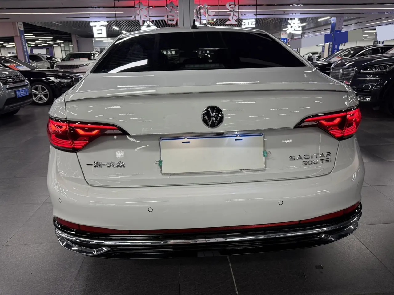 Volkswagen 2024 Sagittarius 1.5TSI 300TSI Exceed Edition Automatic Gear 8
