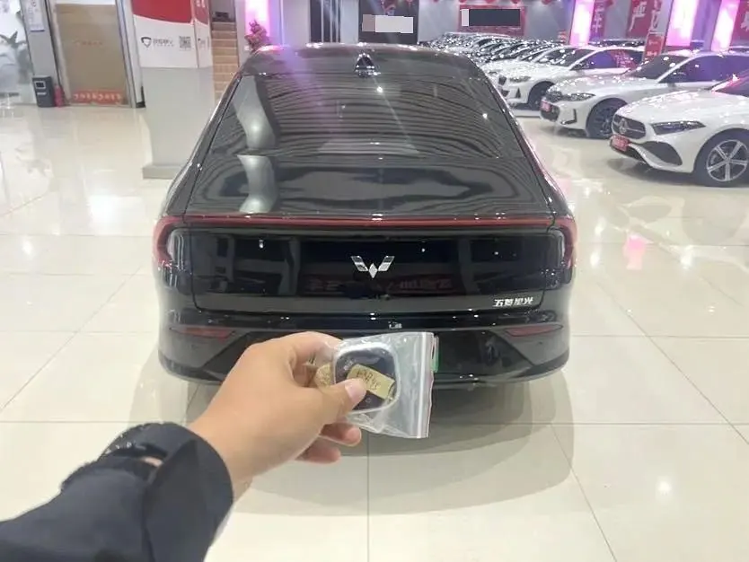WuLing 2025 Starlight EV 610km Intelligent Flagship Automatic Gear 6