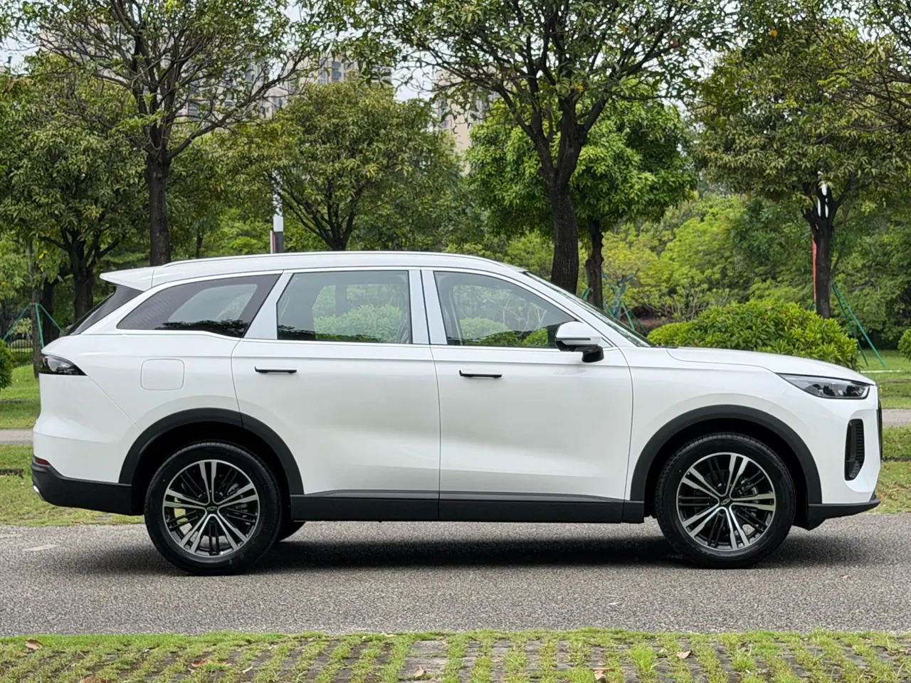 Chery 2026 Ruihu 9X 2.0T Two-Drive Luxury Automatic Gear 13