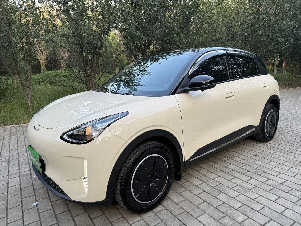 Open image lightbox: Geely 2026 Star Wish 310km Youth Edition Automatic Gear