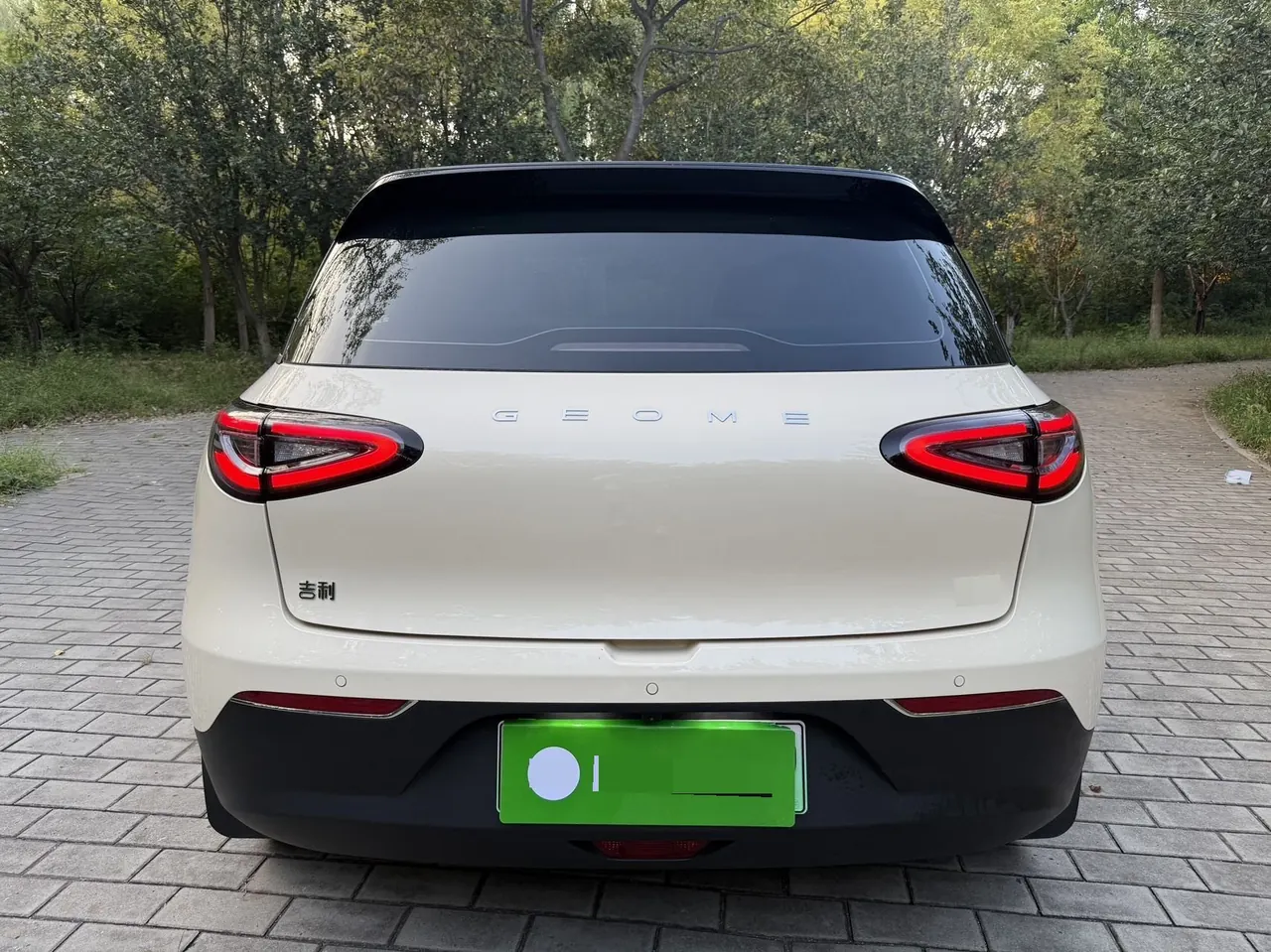 Geely 2026 Star Wish 310km Youth Edition Automatic Gear 10