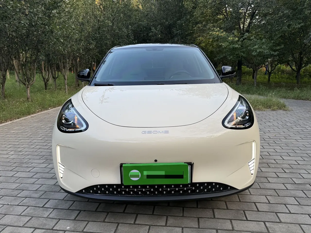 Geely 2026 Star Wish 310km Youth Edition Automatic Gear 2