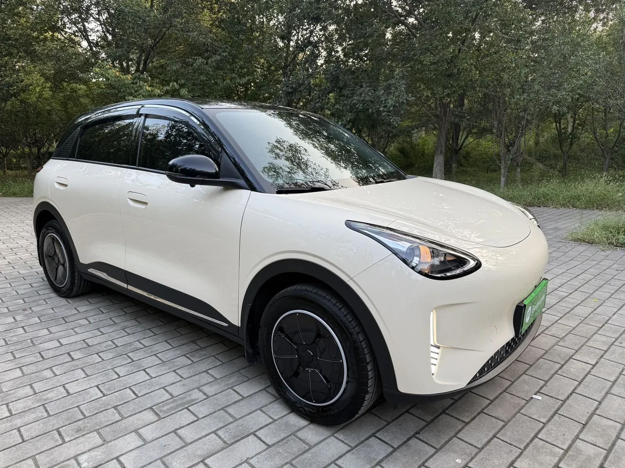 Geely 2026 Star Wish 310km Youth Edition Automatic Gear 3