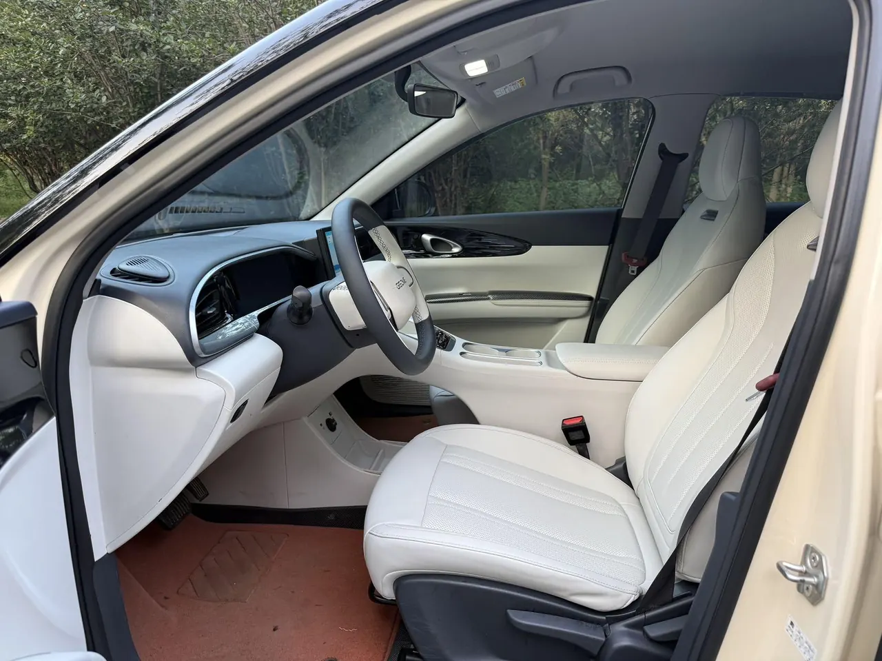 Geely 2026 Star Wish 310km Youth Edition Automatic Gear 4