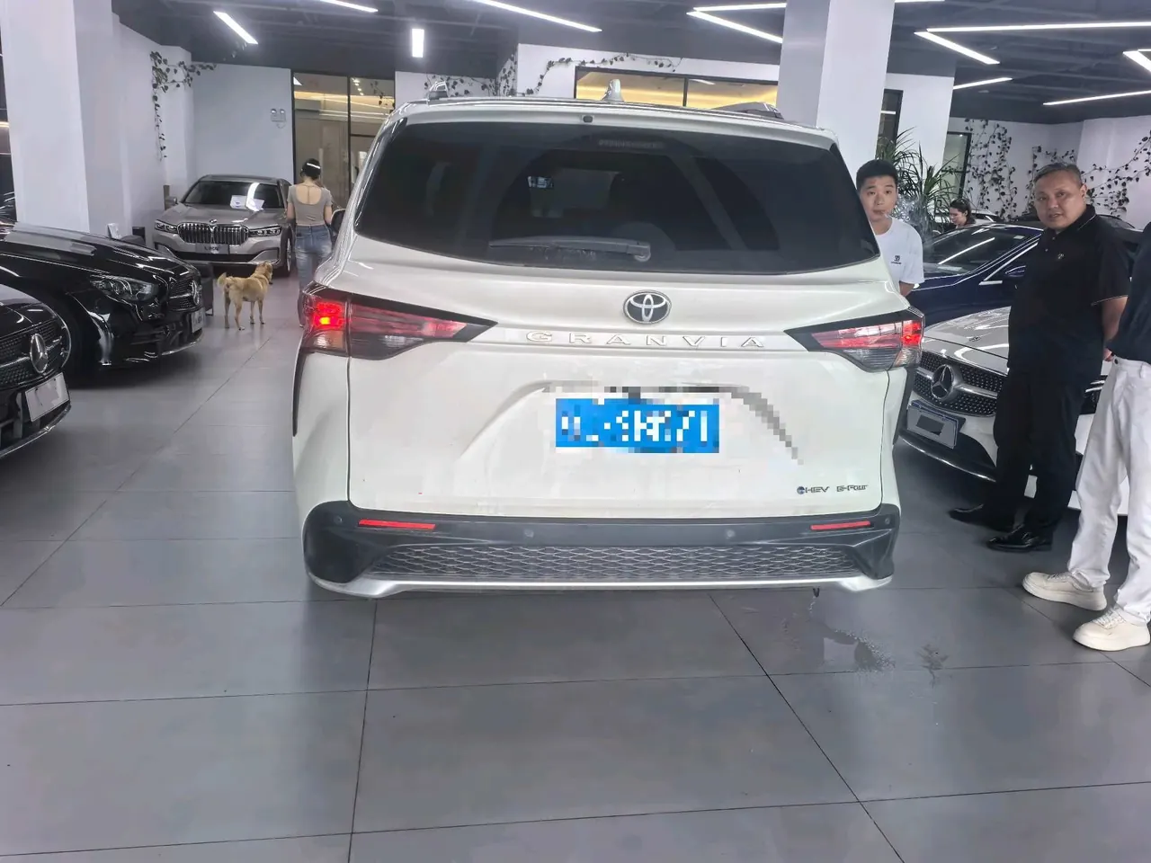 Toyota 2024 Grevia HYBRID 2.5 Stepless Premium PLUS 4WD Automatic Gear 3