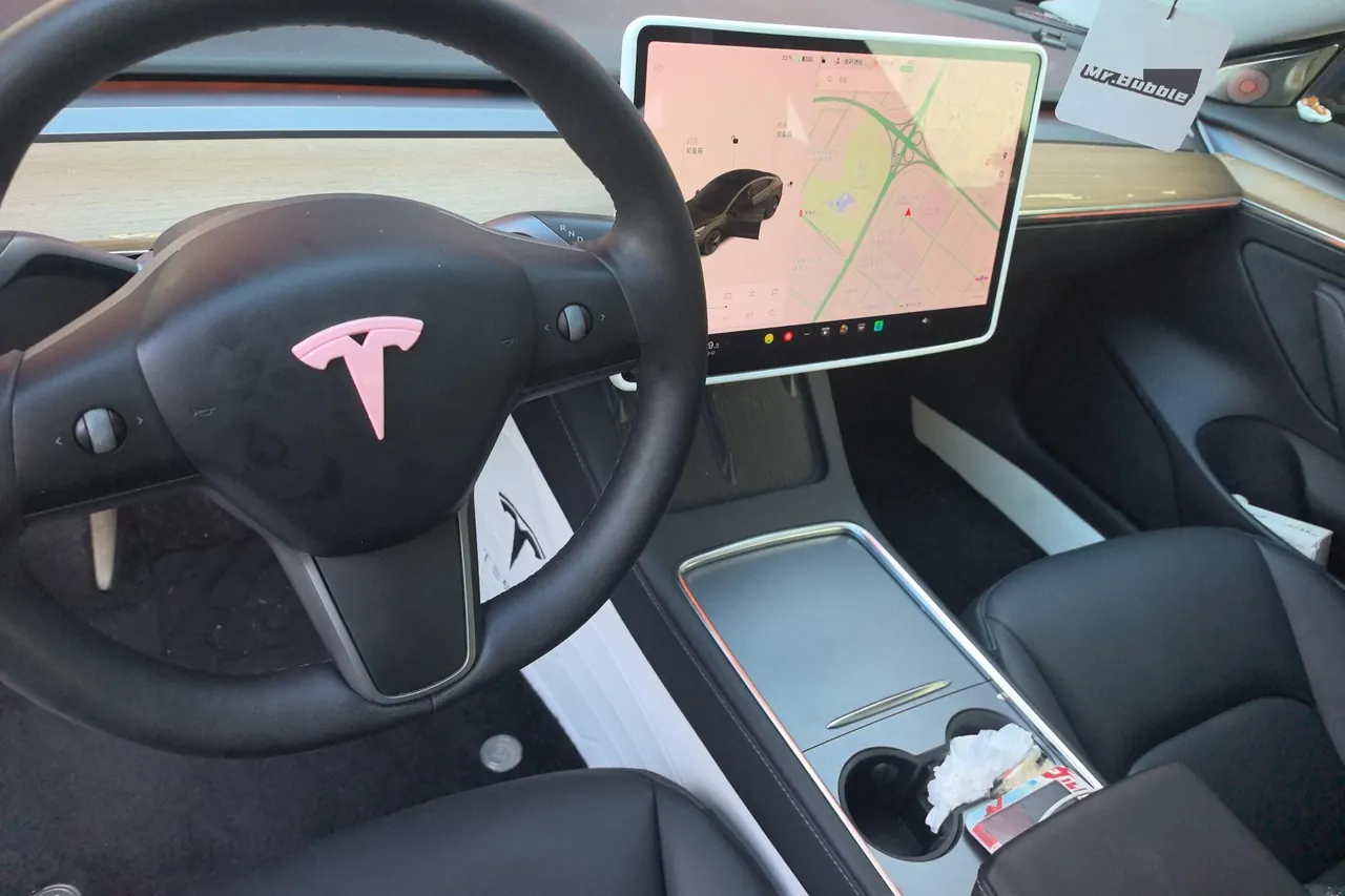 Tesla 2021 Model 3 Standard Endurance Rear Drive Upgraded Automatic Gear 6