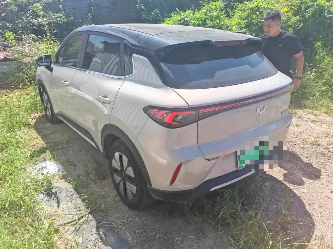 WuLing 2025 Plantronics S 430km Exclusive Automatic Transmission 3