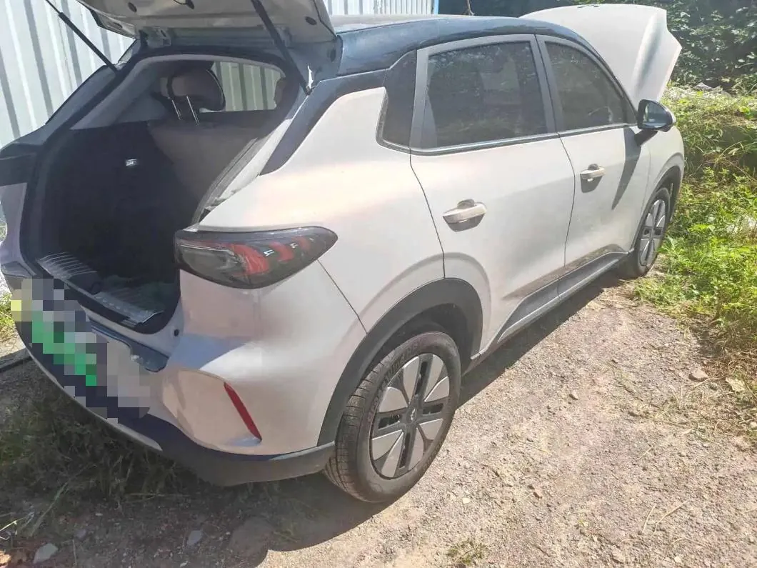 WuLing 2025 Plantronics S 430km Exclusive Automatic Transmission 4