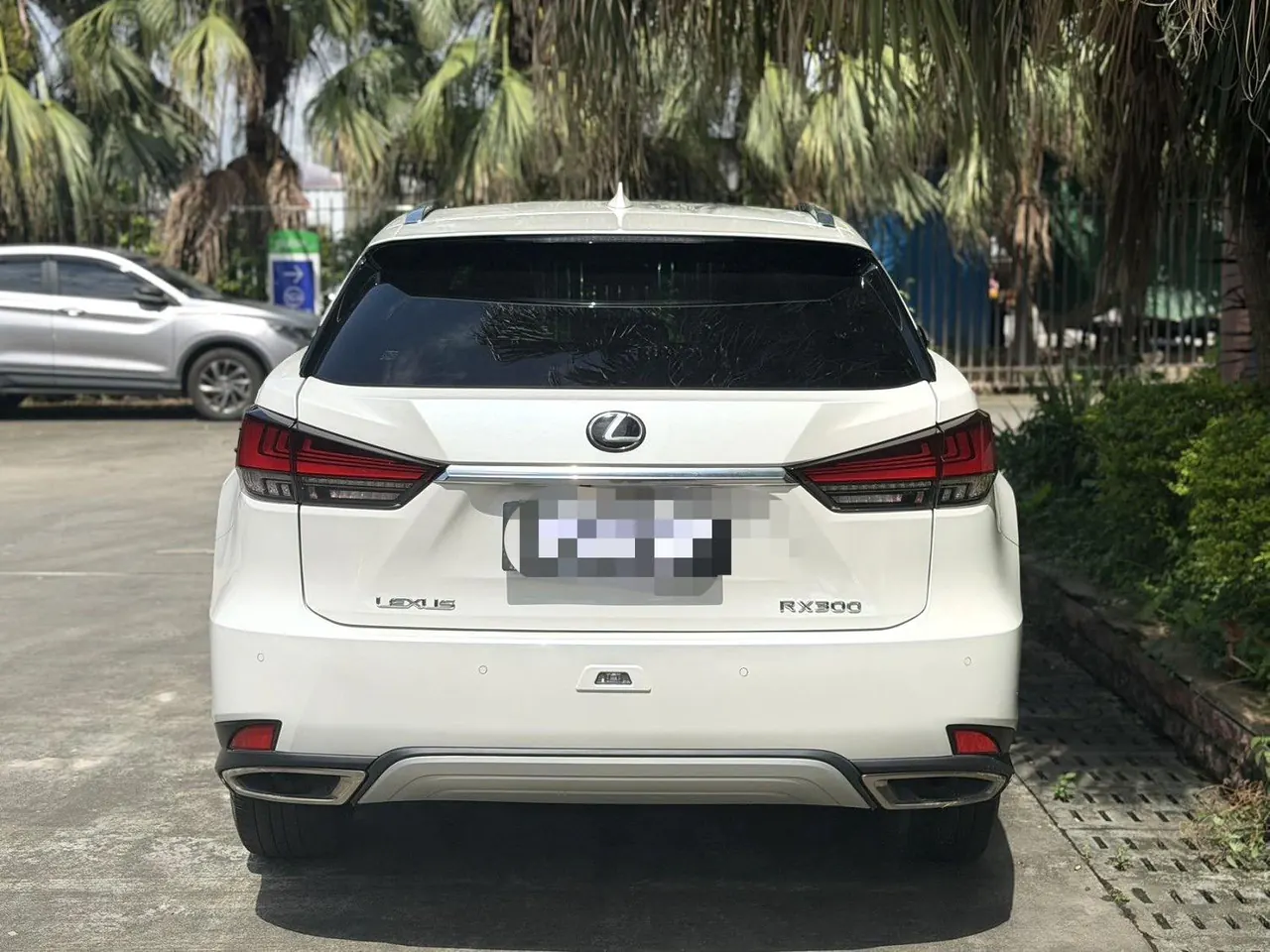 Lexus RX (Imported) 2020 RX300 2.0T Four-wheel Drive Elegant Edition (Modified) Automatic Gear 3