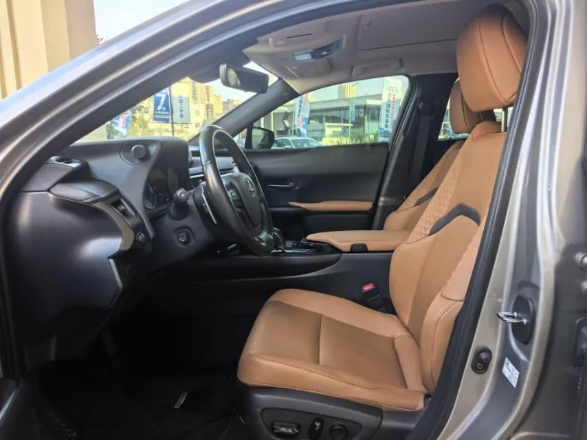 Lexus UX New Energy (Imported) 2020 UX 300e Pure and Enjoy Edition Automatic Gear 2