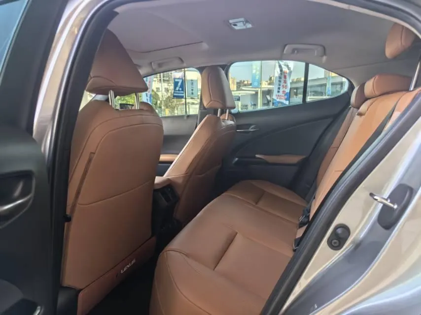Lexus UX New Energy (Imported) 2020 UX 300e Pure and Enjoy Edition Automatic Gear 3