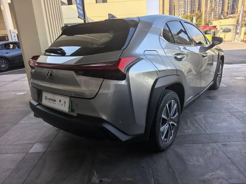 Lexus UX New Energy (Imported) 2020 UX 300e Pure and Enjoy Edition Automatic Gear 4