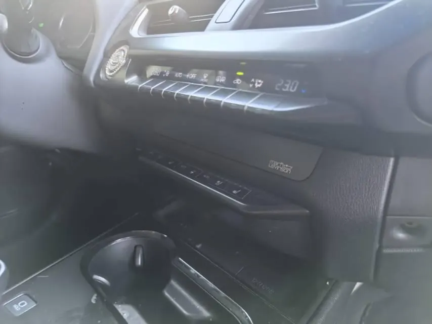 Lexus UX New Energy (Imported) 2020 UX 300e Pure and Enjoy Edition Automatic Gear 6