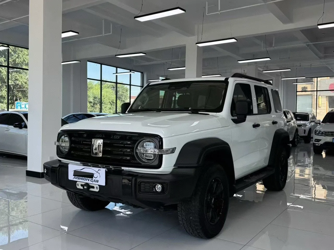 Open image lightbox: Tank 2021 Tank 300 2.0T Off-road Conqueror Automatic