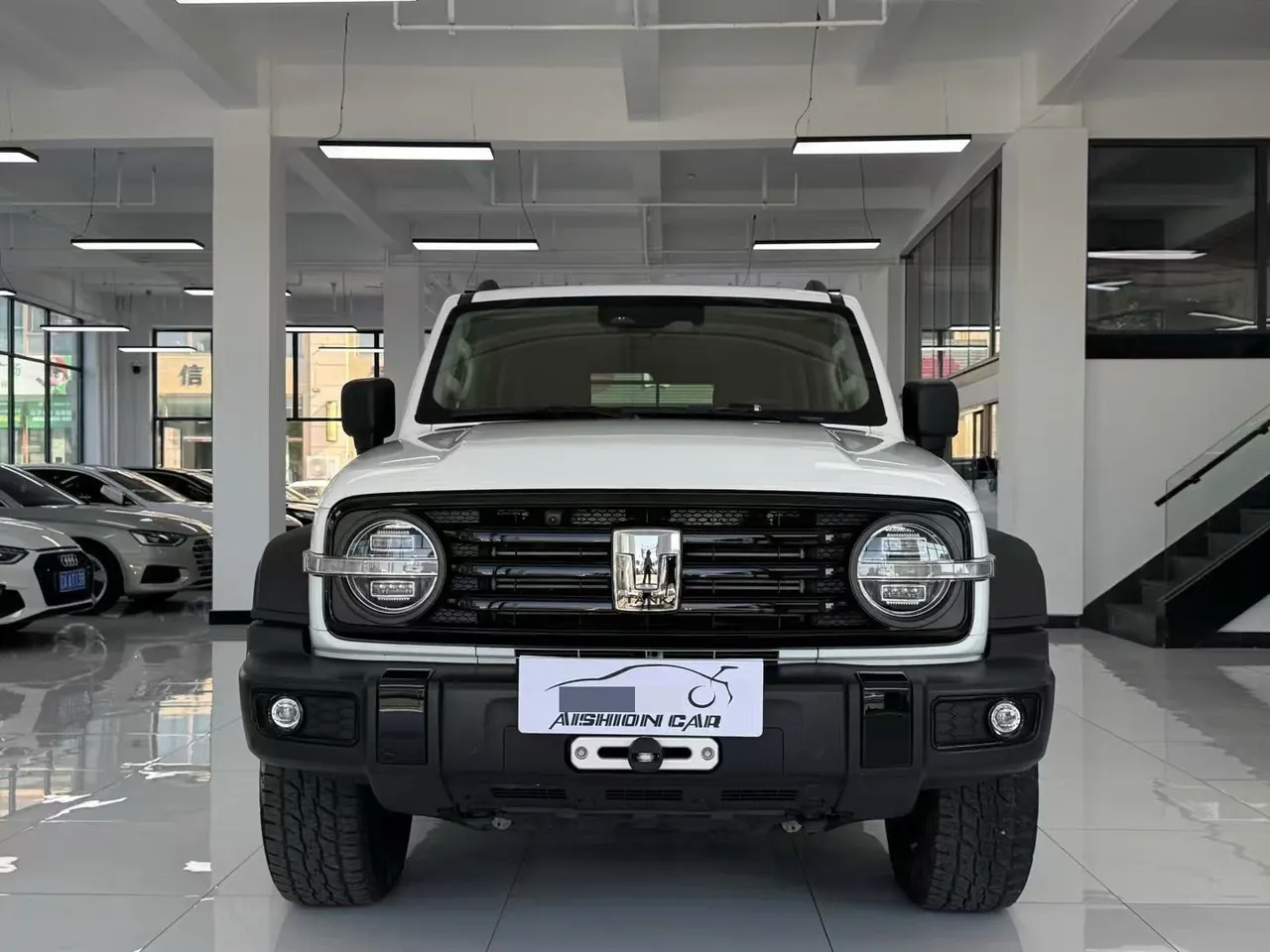 Tank 2021 Tank 300 2.0T Off-road Conqueror Automatic 2