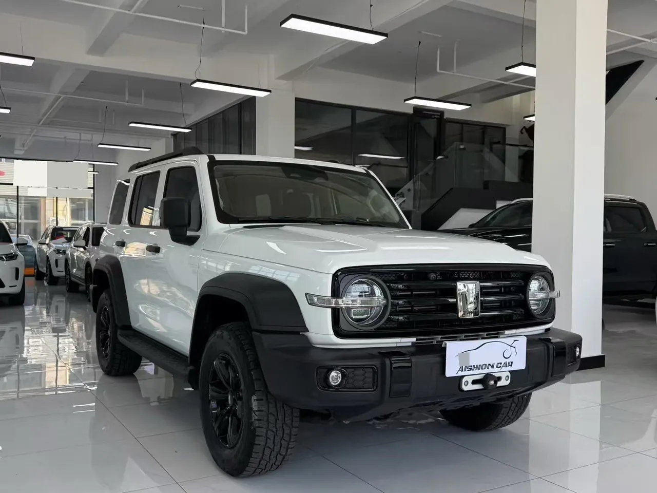 Tank 2021 Tank 300 2.0T Off-road Conqueror Automatic 3