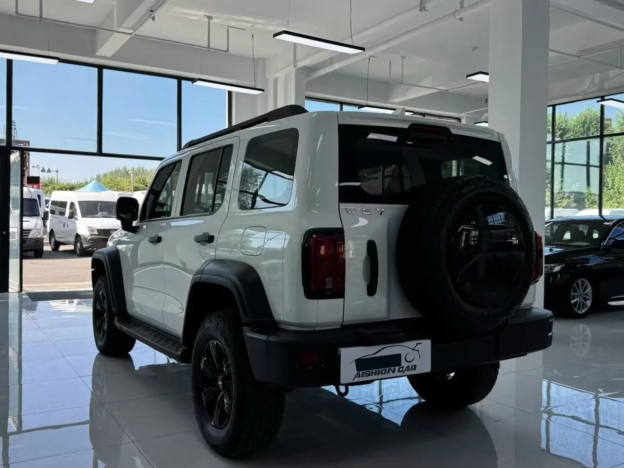 Tank 2021 Tank 300 2.0T Off-road Conqueror Automatic 7