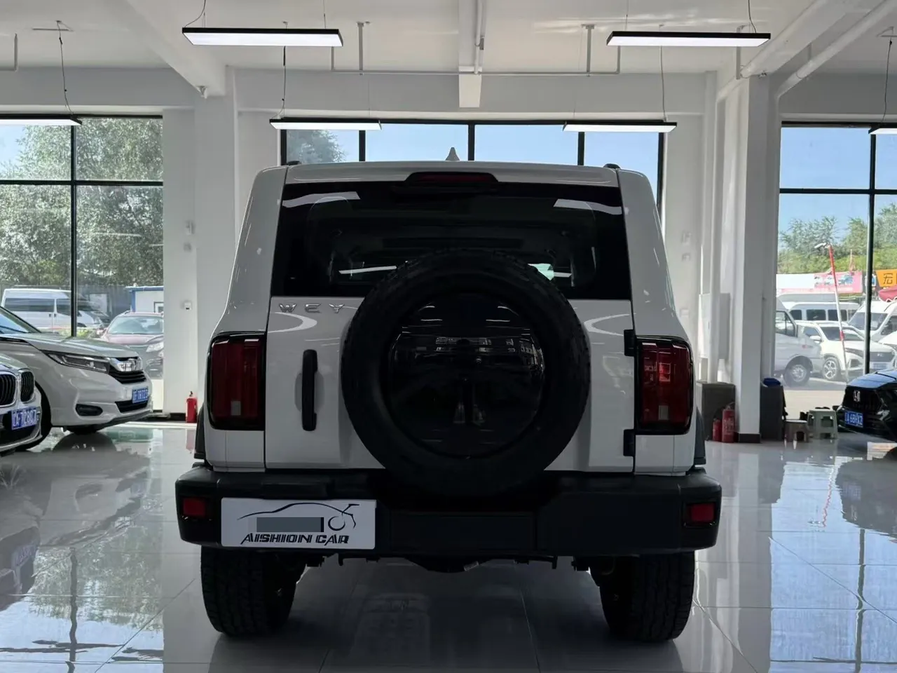 Tank 2021 Tank 300 2.0T Off-road Conqueror Automatic 8