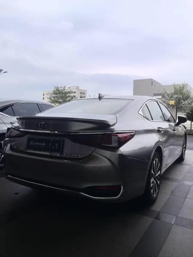 Lexus ES (Imported) 2022 ES300h 2.5 Stepless Excellence Edition Automatic Gear 6