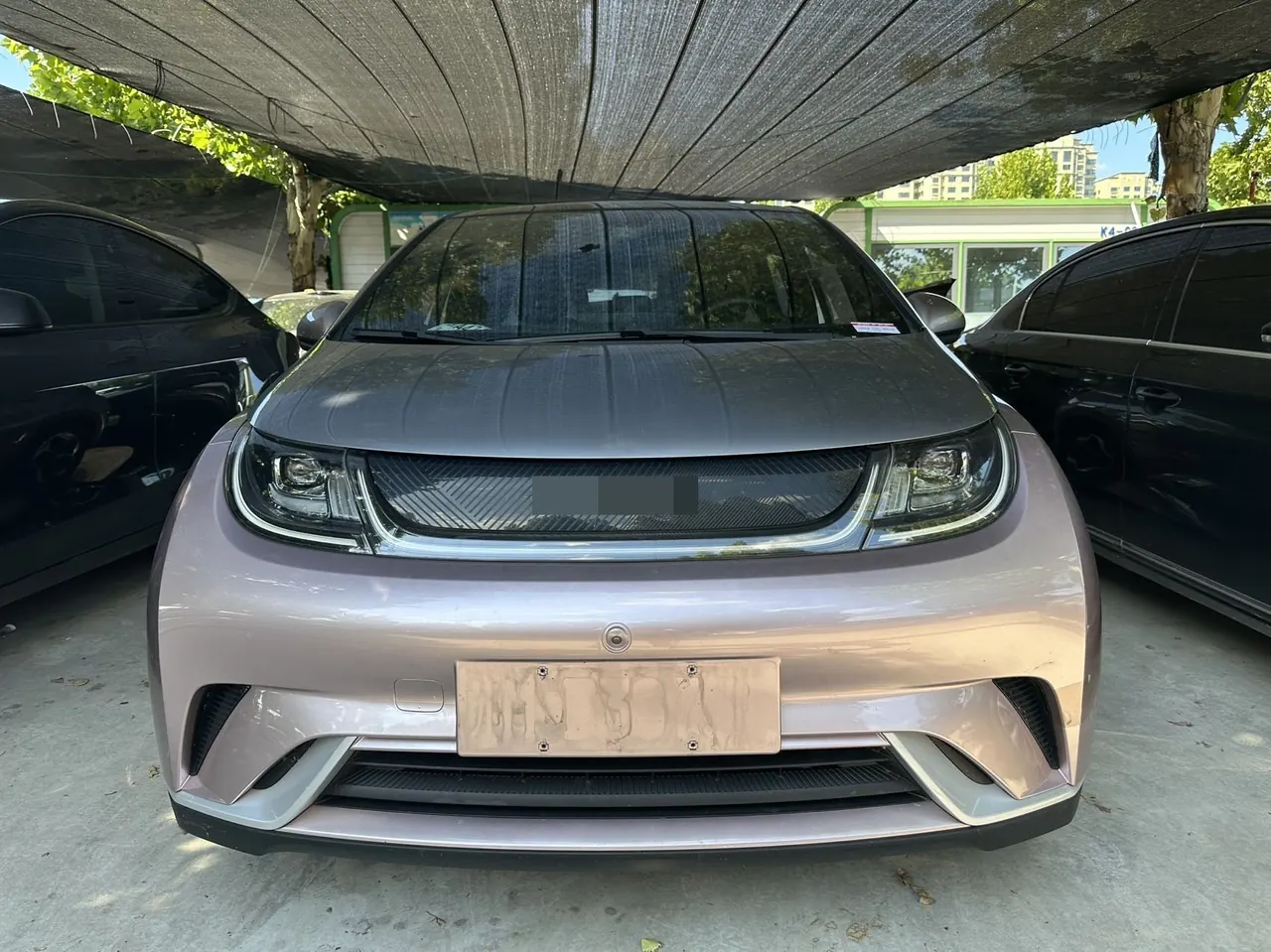 BYD 2021 Dolphin 405km Fashion Edition Automatic 2