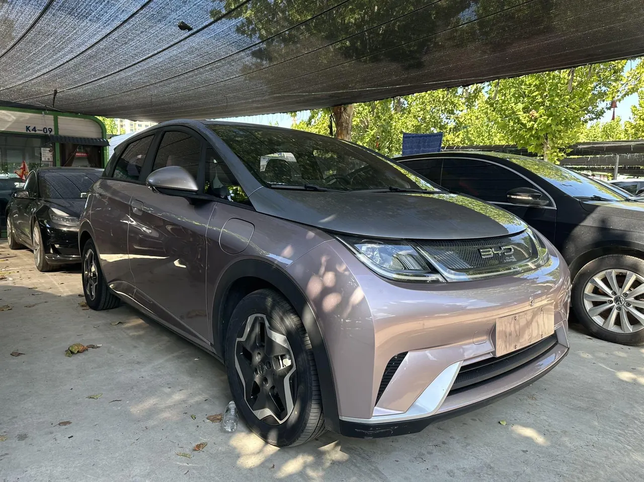 BYD 2021 Dolphin 405km Fashion Edition Automatic 3