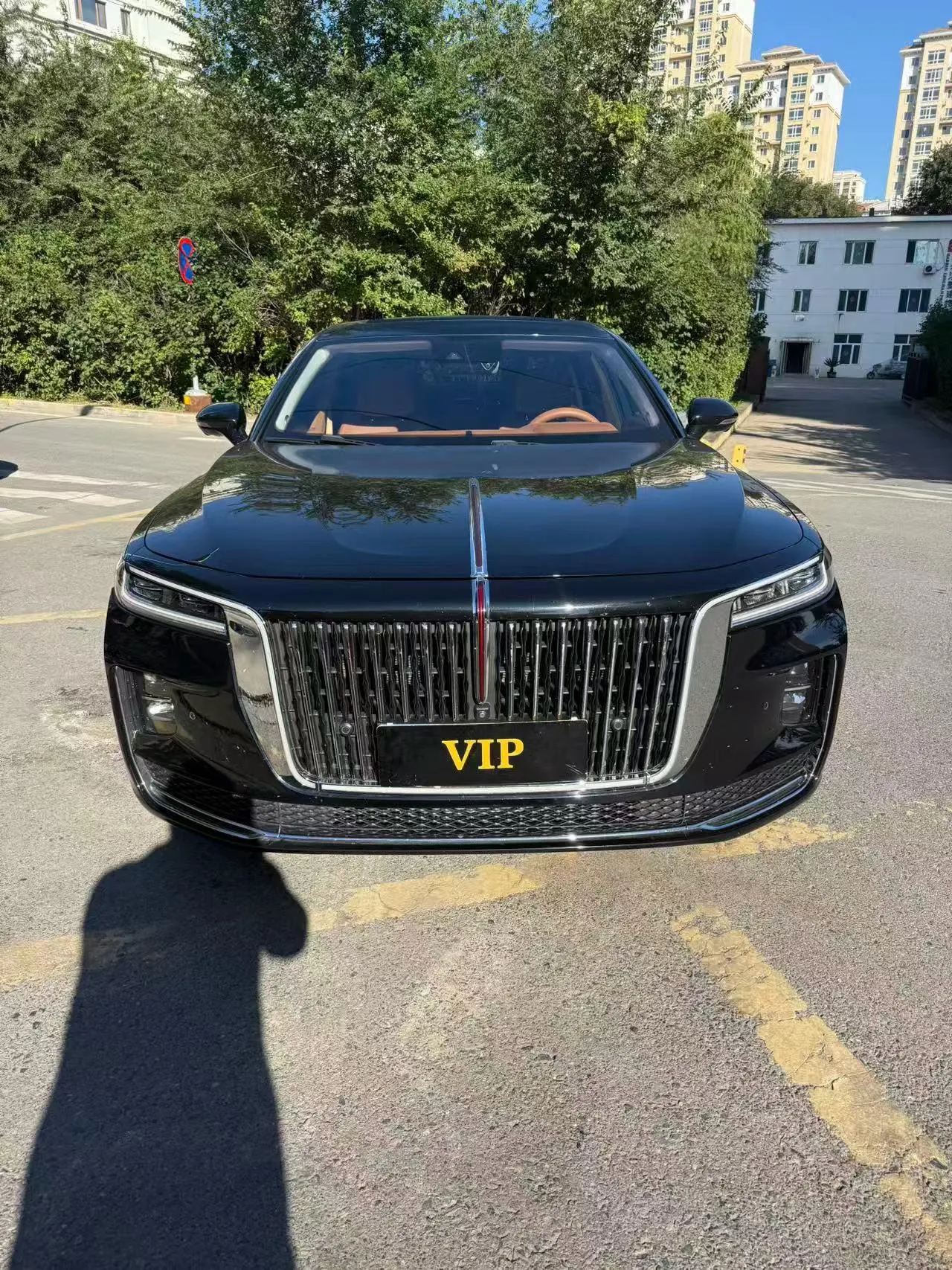 HongQi 2020 H9 48V 2.0T Zhilian Flag Edition Automatic Gear 2