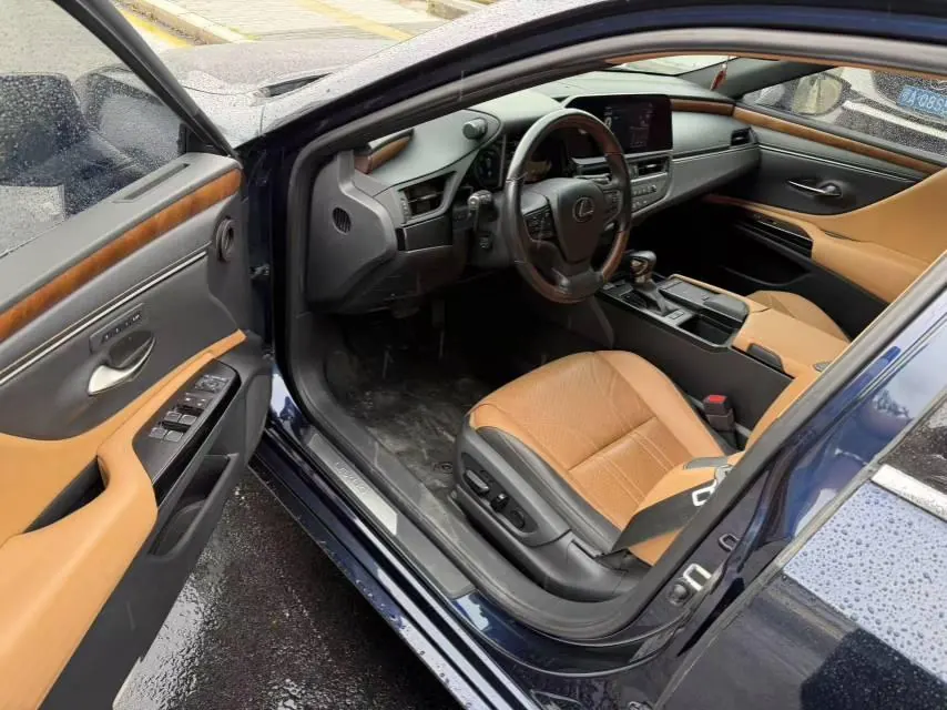 Lexus ES (Imported) 2020 ES300h 2.5 Stepless Excellence Edition Automatic Gear 4