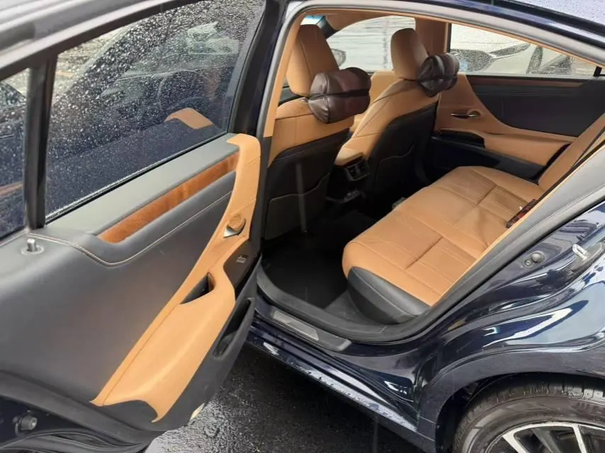 Lexus ES (Imported) 2020 ES300h 2.5 Stepless Excellence Edition Automatic Gear 5