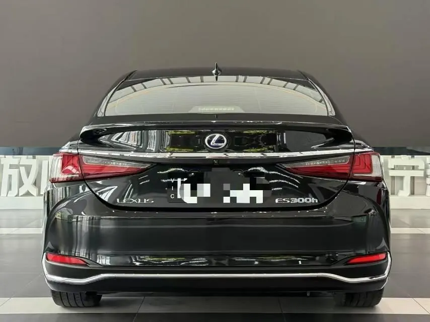 Lexus ES (Imported) 2020 ES300h 2.5 Stepless Excellence Edition Automatic Gear 7